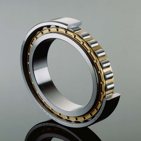 ตลับลูกปืนเม็ดทรงกระบอก / Cylindrical Roller Bearings ตลับลูกปืนเม็ดทรงกระบอก 