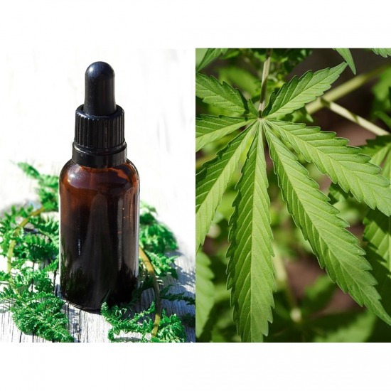 Fragrance oil inspired by Cannabis