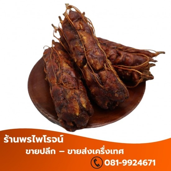 มะขามเปียก ราคาส่ง มะขามเปียก ราคาส่ง  ร้านขายส่งมะขามเปียก  รับซื้อมะขามเปียก  มะขามเปียก ราคาถูก  ราคามะขามเปียกวันนี้  มะขามเปียก 5 กิโล 