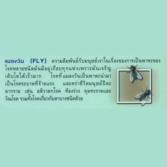 กำจัดปลวก กำจัดปลวก 