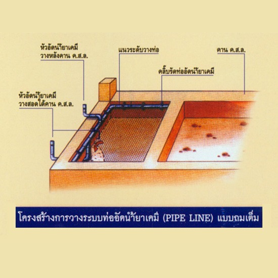 กำจัดปลวก กำจัดปลวก 