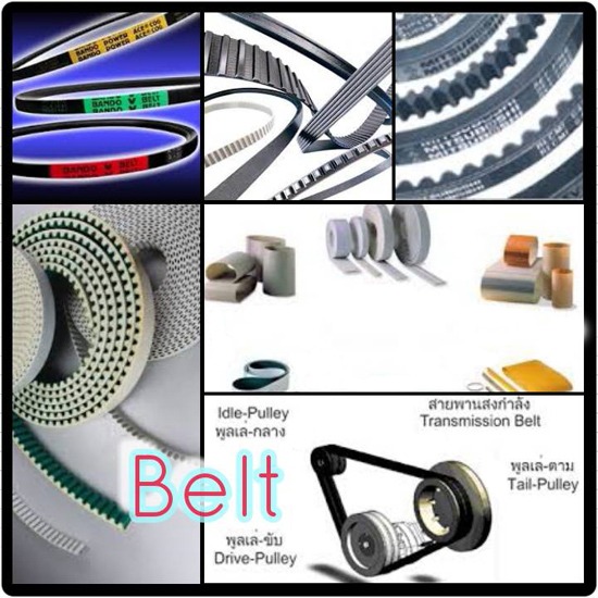 Belt สายพานลำเลียง 