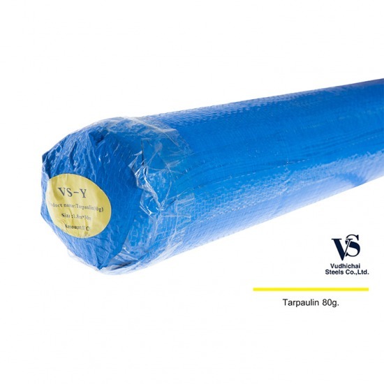 ขายผ้าใบกันน้ำราคาส่ง Mesh Carpet Nail SafetyTarpaulin  ขายผ้าใบกันน้ำราคาส่ง  PE tarpaulin และ PVC tarpaulin  จำหน่ายผ้าใบกันน้ำราคาโรงงาน 