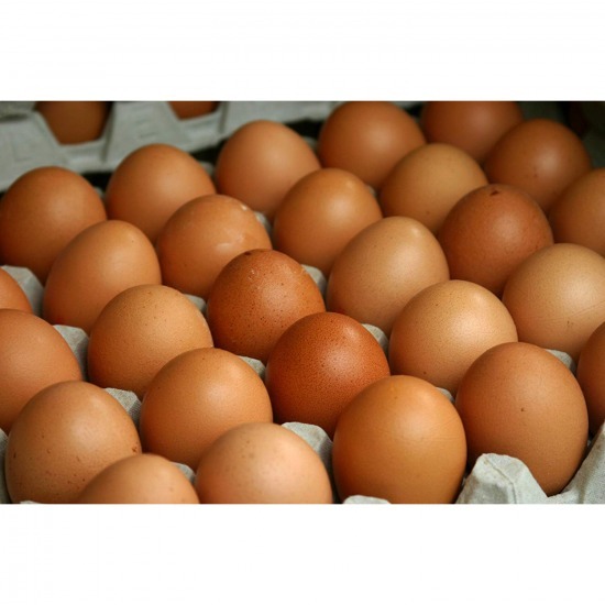 ขายส่งไข่ไก่ พิจิตร ไข่ไก่ พิจิตร 