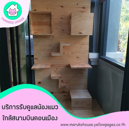 โรงแรมแมวดอนเมือง โรงแรมสำหรับน้องแมวใกล้สนามบินดอนเมือง  แนะนำโรงแรมแมวราคาถูกในกรุงเทพ  หาโรงแรมแมวราคาถูกลาดพร้าว ดอนเมือง จตุจักร 