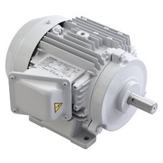 ตัวแทนจำหน่าย motor toshiba ตัวแทนจำหน่าย motor toshiba  motor toshiba  มอเตอร์ TOSHIBA 1 HP  Toshiba 3 Phase Induction Motor 