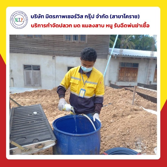 กำจัดปลวกโคราชราคาพิเศษ กำจัดปลวกโคราชราคาพิเศษ 