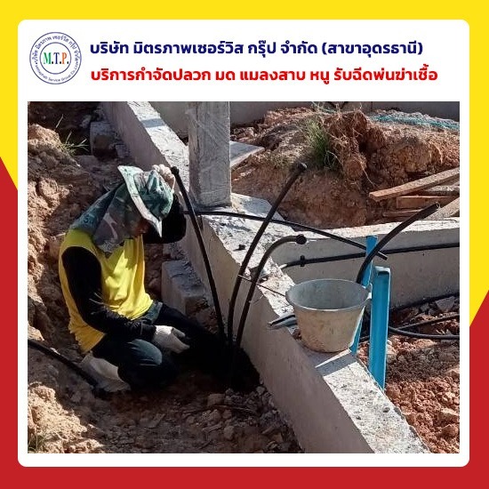 รับเหมาวางท่อกำจัดปลวกอุดรธานี รับเหมาวางท่อกำจัดปลวกอุดรธานี 