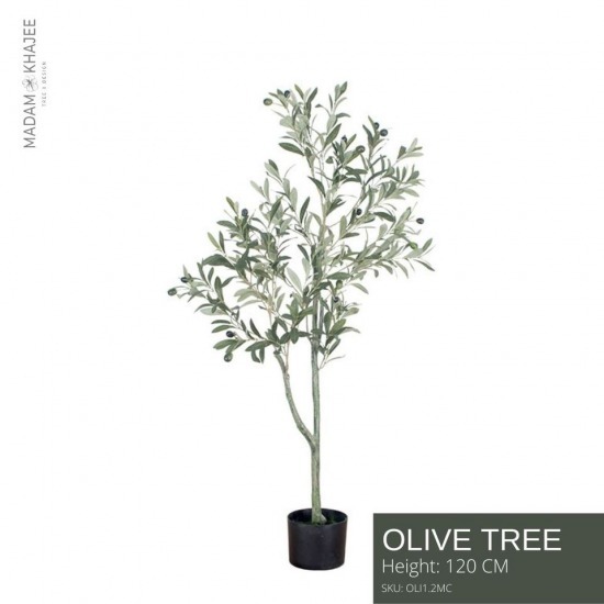 ต้นโอลีฟปลอม ต้นโอลีฟปลอม  Olive  tree  ต้นมะกอกปลอม  ต้นไม้ปลอมใหญ่  หาต้นไม้ปลอม  ต้นไม้ปลอมสวย  ต้นไม้ประดิษฐ์  ต้นไม้ปลอมตกแต่งบ้าน  ต้นไม้ปลอมเหมือนจริง 