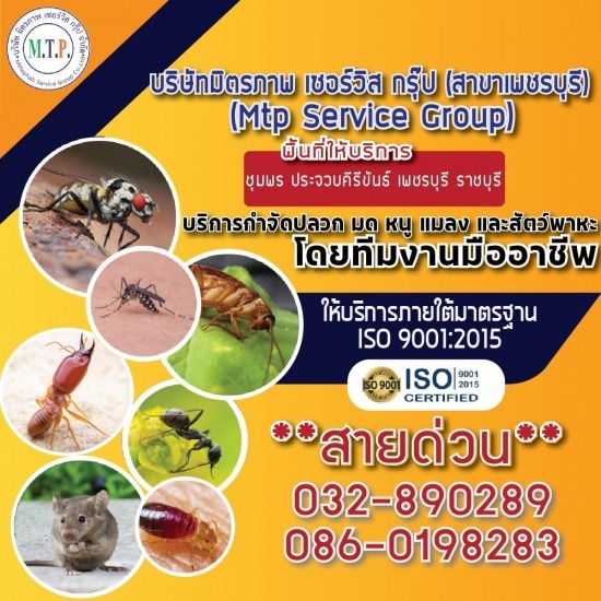 บริษัทกำจัดปลวก-สัตว์รบกวนเพชรบุรี กำจัดปลวก  กำจัดปลวกเพชรบุรี  เพชรบุรี  บริษัทกำจัดปลวก  กำจัดหนู  กำจัดหนูเพชรบุรี  กำจัดยุงเพชรบุรี  เพชรบุรีกำจัดแมลงสาบ  กำจัดปลวกหัวหิน  รับฉีดปลวกเพชรบุรี 