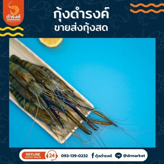 จำหน่ายกุ้งขาวแวนาไมด์