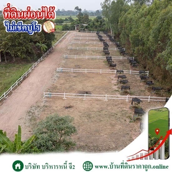 ที่ดินผ่อนได้ ไม่เช็คบูโร ที่ดินผ่อนได้ ไม่เช็คบูโร  ที่ดินผ่อนได้รายเดือน  ขายที่ดินผ่อนได้ราคาถูก  บ่อยที่ดินผ่อนได้ 