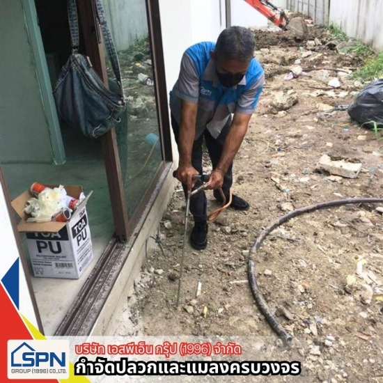 รับฉีดปลวก บริษัทกำจัดปลวก  บริการกำจัดปลวก  รับฉีดปลวก  หาบริษัทกำจัดปลวก  อัดน้ำยากำจัดปลวก  รับกำจัดแมลง  รับกำจัดหนู  รับกำจัดแมลงสาบ  รับกำจัดมด  รับกำจัดยุง 