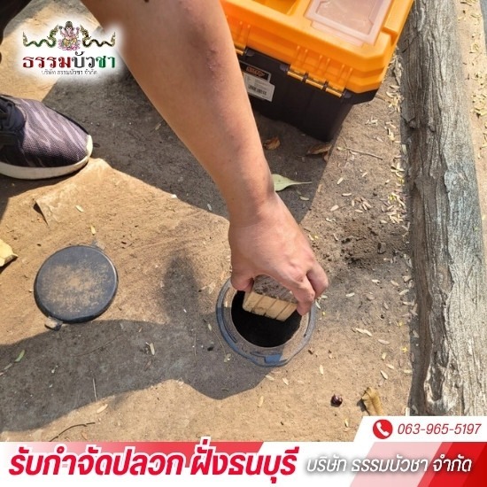 กำจัดปลวกราคาถูก ใกล้ฉัน กำจัดปลวกราคาถูก ใกล้ฉัน  บริการกําจัดปลวก ราคาถูก  รับกำจัดปลวกราคาถูก  กำจัดปลวกราคาถูก นครปฐม  กำจัดปลวกราคาถูก บางแค 