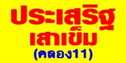 เสาเข็มไม้ยูคา ประเสริฐยูคาเทรด