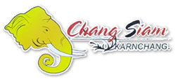 Chang Siam Karnchang Co Ltd