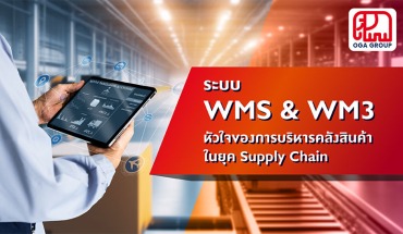 WMS, WM3, Warehouse Management System