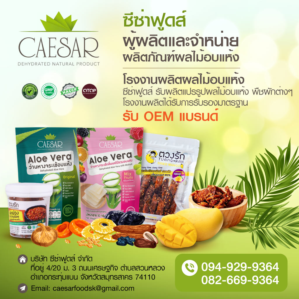 โรงงานผลิตผลไม้อบแห้ง - caesar food 