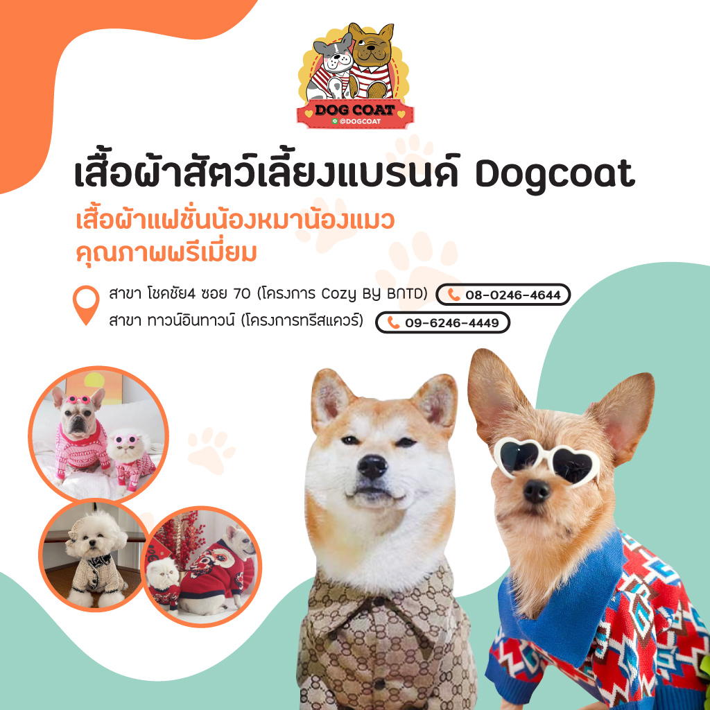 อาบน้ำตัดขน รับฝากเลี้ยงไม่ขังกรง Pet Relax