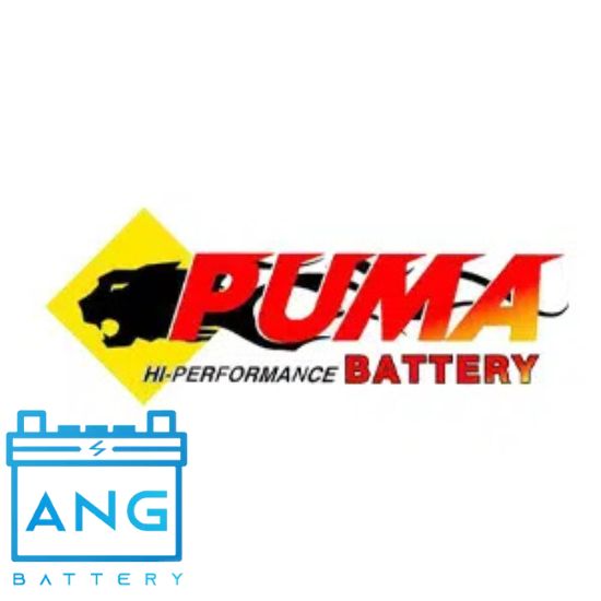 BATTERY PUMA