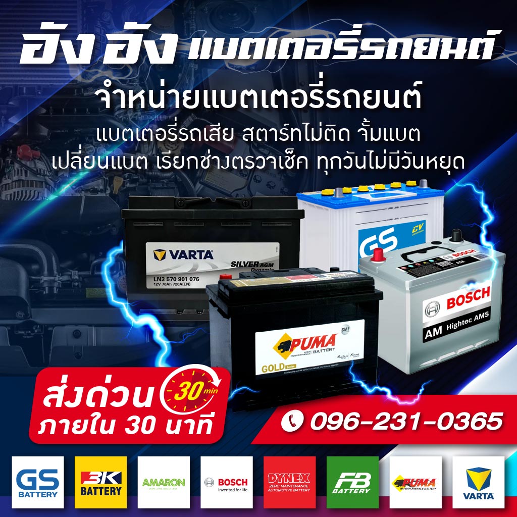 M80036599-03-จำหน่ายแบตเตอรี่รถยนต์