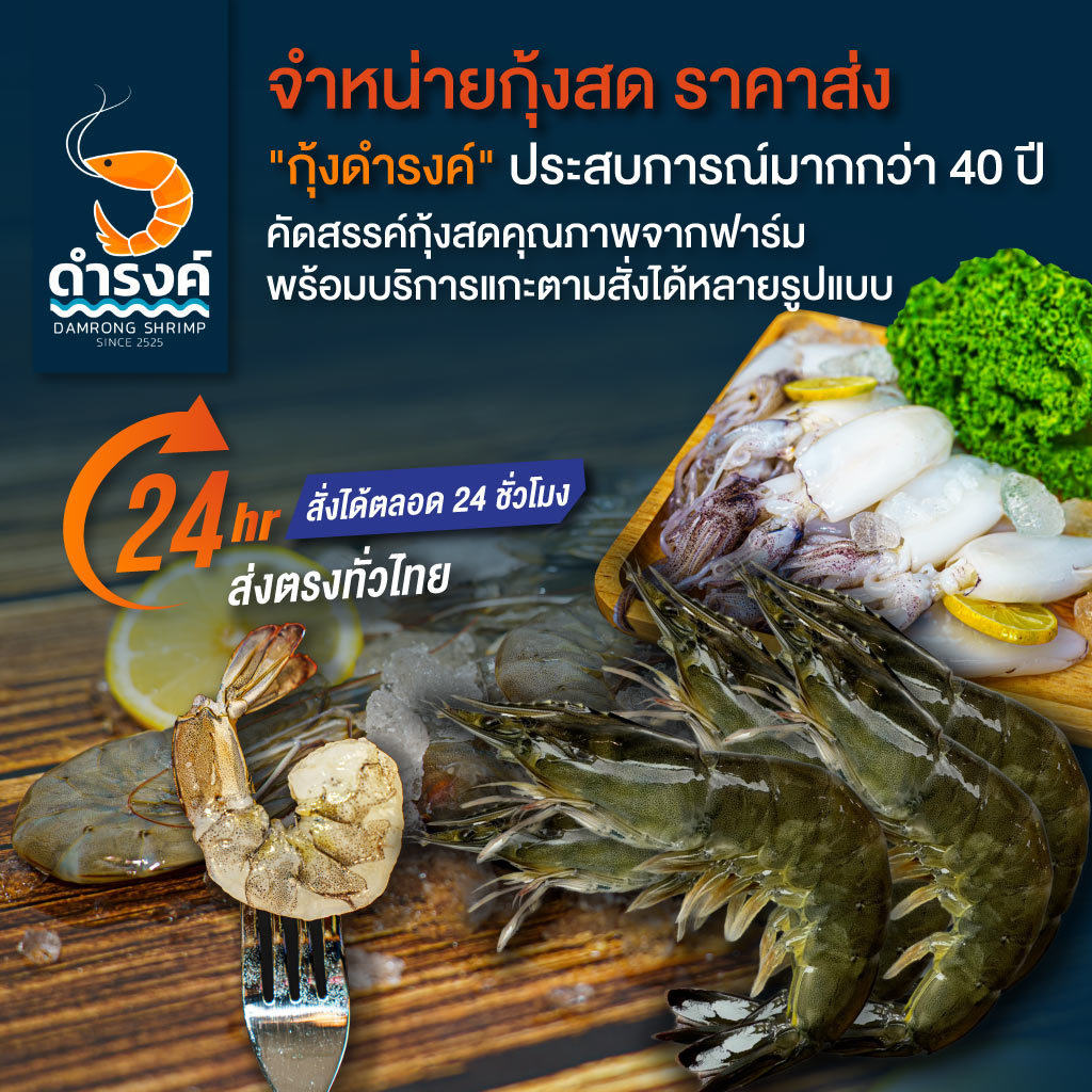 80030404-mobile-ขายส่งกุ้งสด-ดำรงค์เจริญค้ากุ้ง