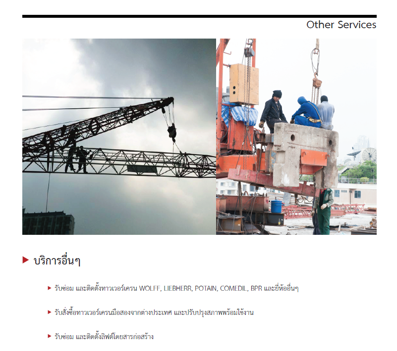 Company profile ทาวเวอร์เครนบูมกระดก