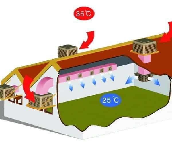 ​​พัดลมดูดอากาศโรงงาน ระบายความร้อนในโรงงาน มีหลายขนาด