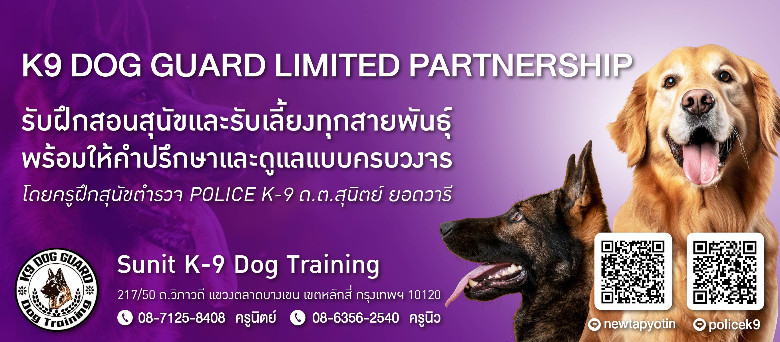 K9 DOG รับฝึกสอนสุนัขและรับเลี้ยงทุกสายพันธุ์