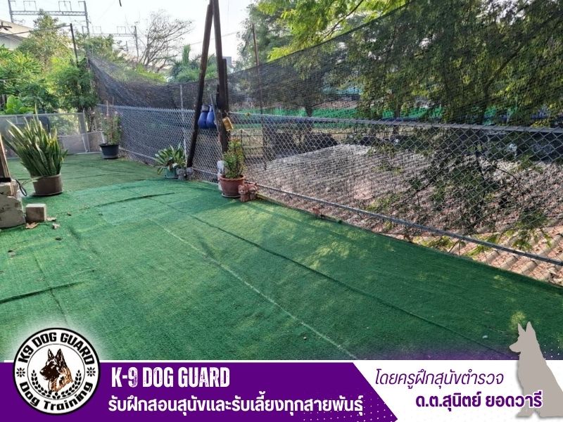 K-9 DOG GUARD รับฝึกสอนสุนัขและรับเลี้ยงทุกสายพันธุ์