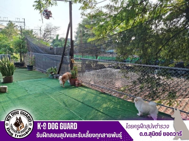 ฝึก k-9 dog guard สถานที่ที่กว้างขวาง ร่มรื่น และมีสิ่งอำนวยความสะดวกครบครัน