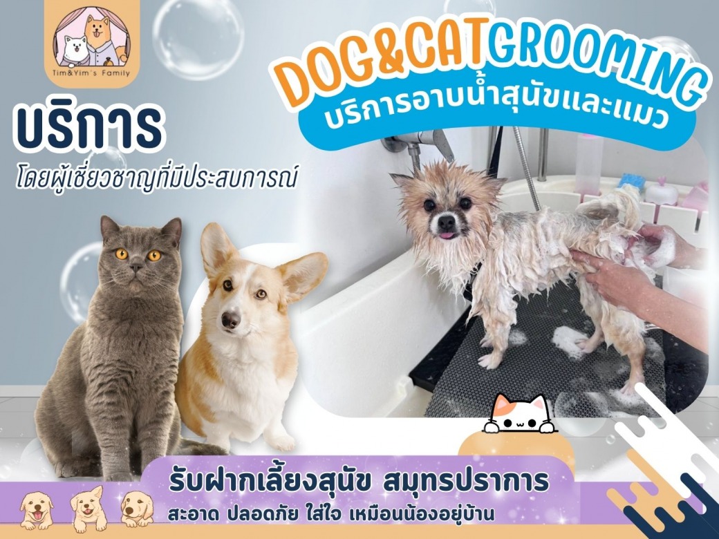 รับอาบน้ำตัดขนสุนัขและแมว สมุทรปราการ grooming