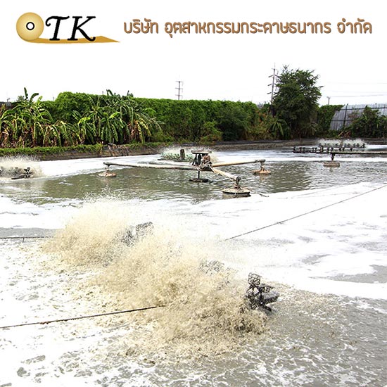 โรงงานกระดาษคราฟท์ กระดาษรีไซเคิ้ล ปทุมธานี