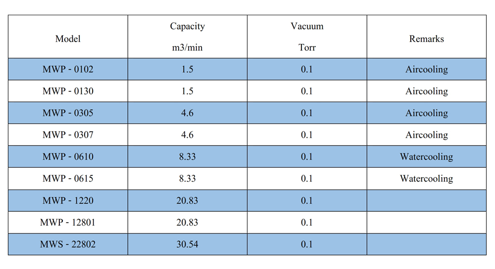 MECHANICAL BOOSTER VACUUM PUMP SYSTEM