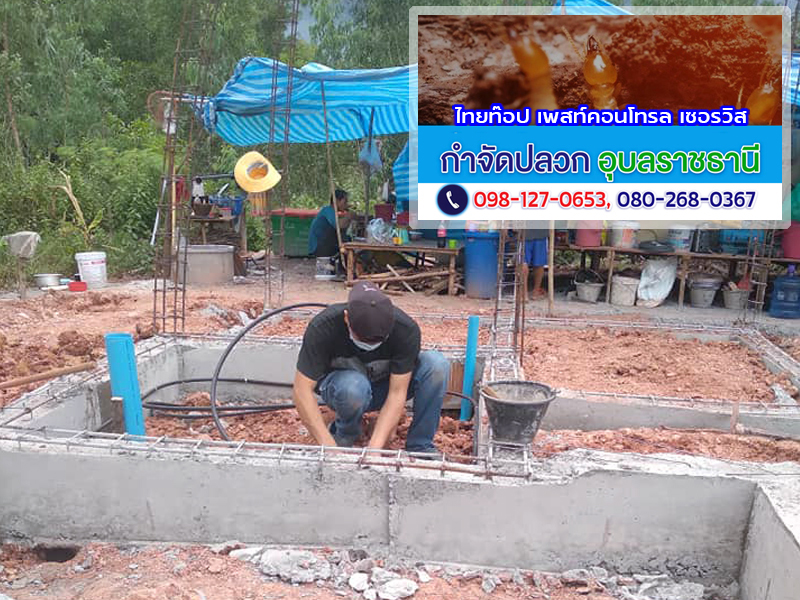 วางท่อ(LDPE)เคมีป้องกันปลวก-ศรีสะเกษ