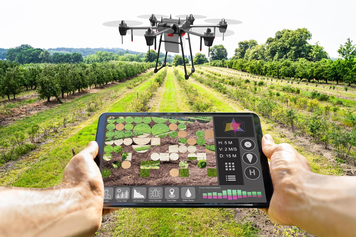 Precision Farming ช่วยให้เกษตรกรทำงานได้อย่างแม่นยำ มีประสิทธิภาพ และ เป็นมิตรต่อสิ่งแวดล้อมมากขึ้น