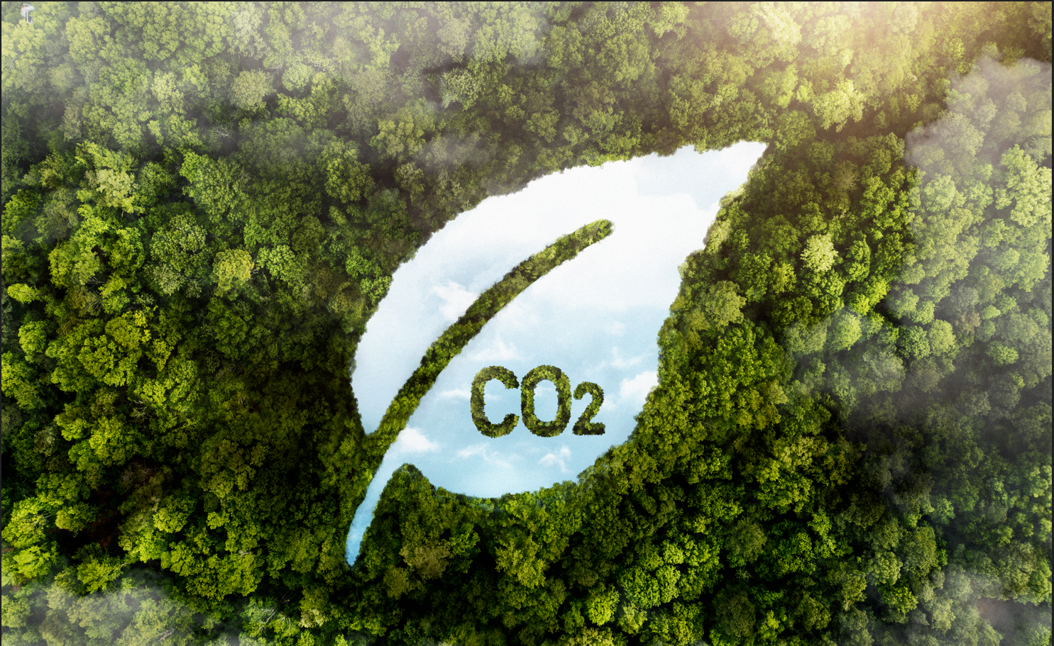 Carbon Footprint ไขข้อสงสัยผู้ประกอบการและ SME ต้องให้ความสำคัญกับเรื่องนี้